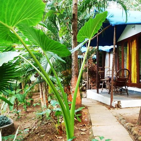 Secret Garden Resort Patnem Beach Eksteriør billede