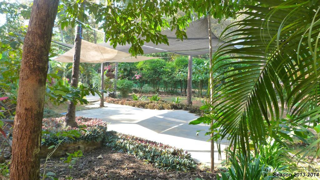 Secret Garden Resort Patnem Beach Eksteriør billede