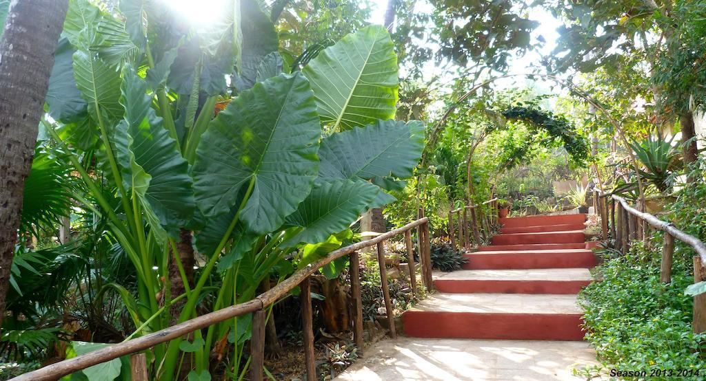Secret Garden Resort Patnem Beach Eksteriør billede